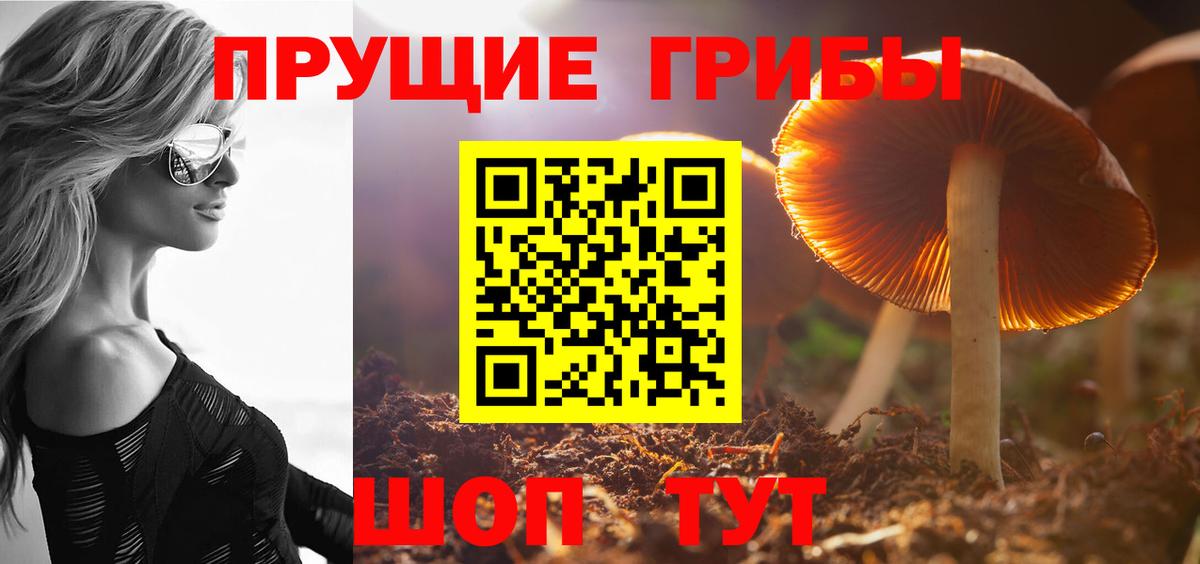 Псилоцибиновые грибы прущие грибы  Вход с VPN  Псилоцибиновые грибы MAGIC MUSHROOMS  Светлоград 
