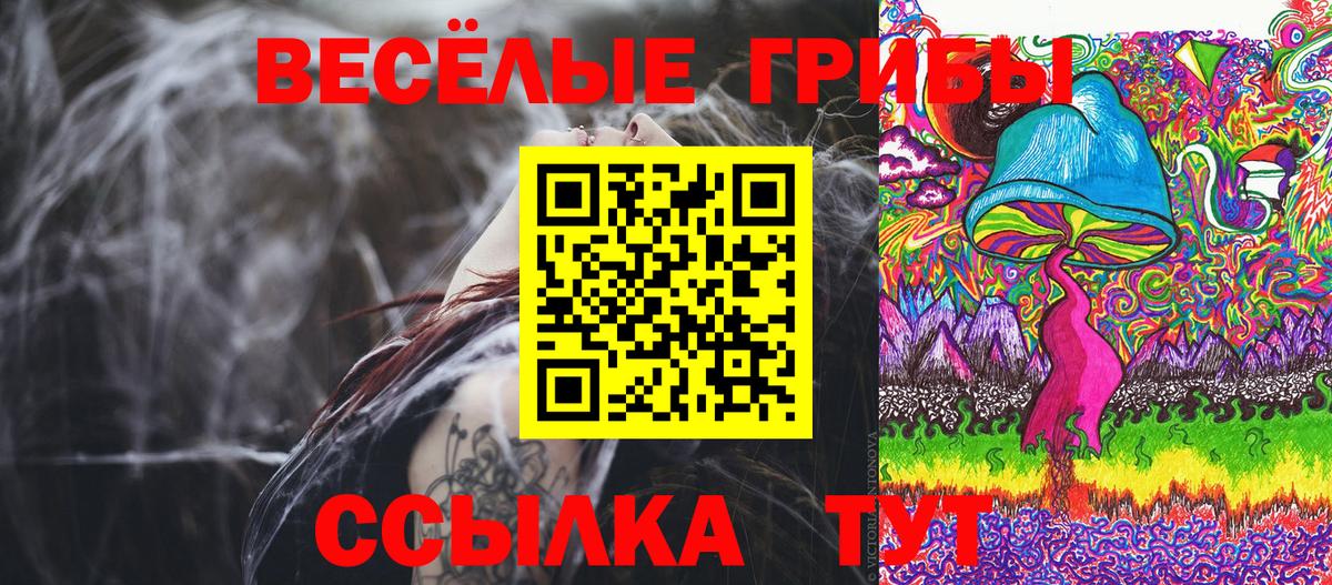Псилоцибиновые грибы мицелий Светлоград